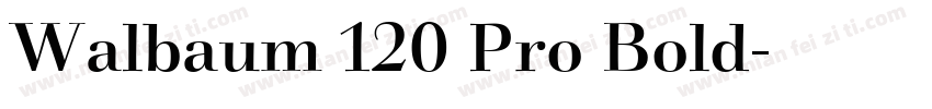 Walbaum 120 Pro Bold字体转换